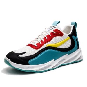 Shoe